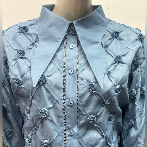 Rose Bud Blue Puff Sleeves Pointed Collar Button Down Blouse - Picture 4 of 7